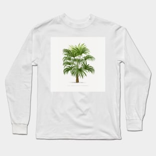 8 Les Palmiers Histoire Long Sleeve T-Shirt